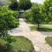 Cirali Almira Bungalow: бунгало в Чирали для спокойного отдыха