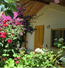 Blue Paradise Pension