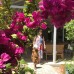 Blue Paradise Pension в Чирали (Кемер): честный разбор от турагента