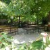 Arya Holiday Houses (Чирали, Кемер): пляжный отдых в Турции