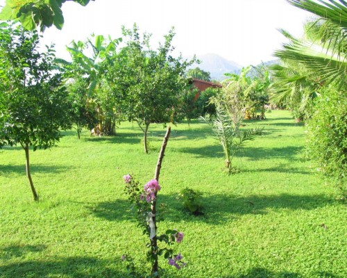 Ozge Bungalow Hotel — бунгало в Чирали (Кемер)