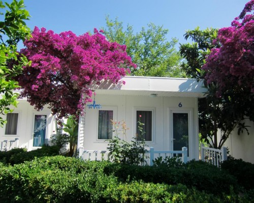 Blue & White Hotel, Чирали (Кемер): подбор тура под ваш отдых