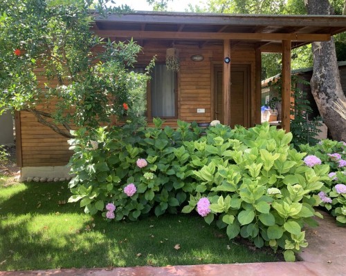 Adabella Pension в Чирали (Кемер): взгляд турагента