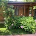 Adabella Pension в Чирали (Кемер): взгляд турагента