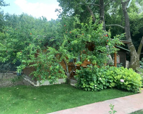 Adabella Pension в Чирали (Кемер): взгляд турагента