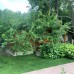 Adabella Pension в Чирали (Кемер): взгляд турагента