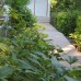 Garden Pansiyon в Чирали (Кемер): взгляд турагента