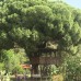 Billur Pension, Чирали (Кемер): честный обзор и подбор тура