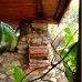 Dionysos Lodge — тихий отель в Чирали для пляжного отдыха