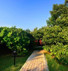 Yildiz Pension