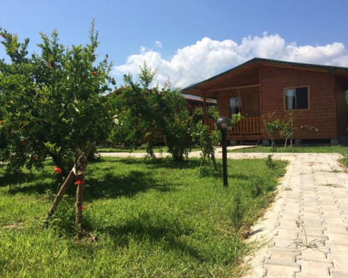 Yildiz Pension в Чирали (Кемер): честный обзор от турагента