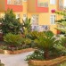 Camyuva Motel в Кемере: уютный отдых на Средиземном море