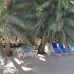 Camyuva Motel в Кемере: уютный отдых на Средиземном море
