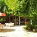 Deniz Pension в Чирали: аутентичный отдых без пафоса