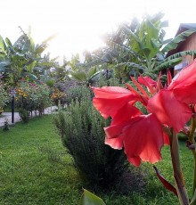 Estelar Hotel 