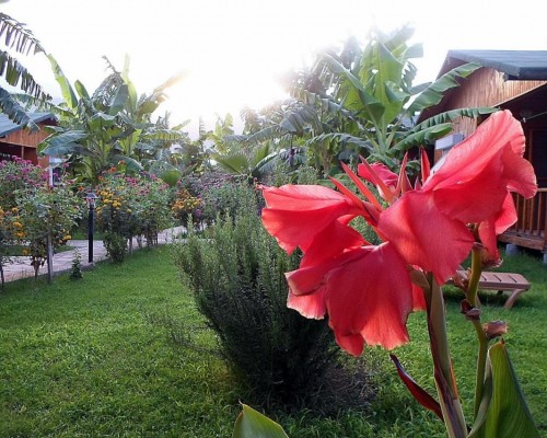 Estelar Hotel в Чирали: пляжный отдых в Кемере