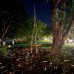 Myland Nature в Чирали, Кемер: честный обзор для подбора тура