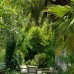 Olympos Lodge, Чирали (Кемер): подбор тура с персональным агентом