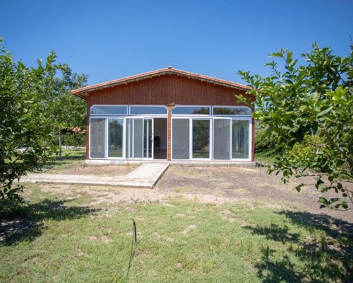 Ugur Pansiyon 4* — отдых в Чирали, Кемер