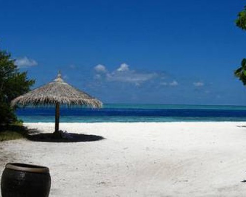 Chaaya Reef Ellaidhoo 4* — Ари Атолл, Мальдивы