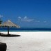Chaaya Reef Ellaidhoo 4* — Ари Атолл, Мальдивы