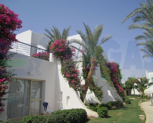 Luna Sharm Hotel 3* в Шарм-эль-Шейхе: честный обзор отеля