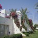 Luna Sharm Hotel 3* в Шарм-эль-Шейхе: честный обзор отеля