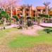 Geisum Village 3* — Хургада, Египет