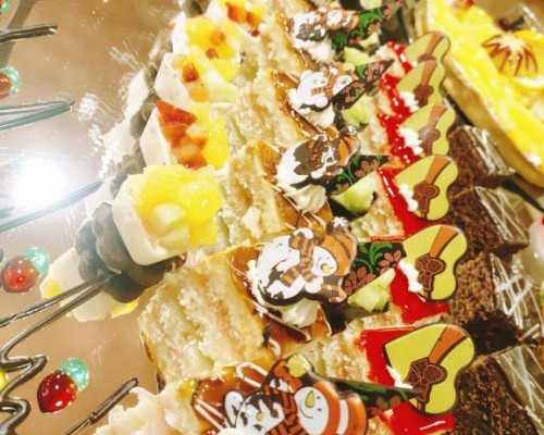 Happy Life Village 4* в Дахабе: честный обзор отеля