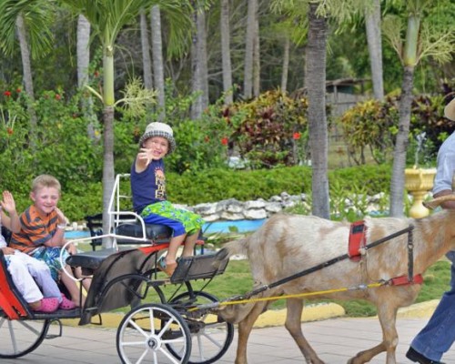 Tryp Cayo Coco 4* — отель на первой линии Кайо-Коко