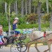 Tryp Cayo Coco 4* — отель на первой линии Кайо-Коко
