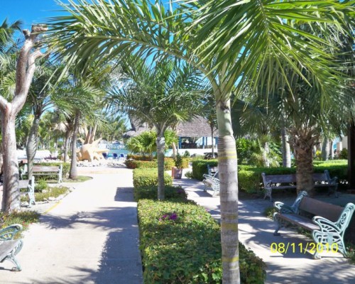 Sol Cayo Santa Maria 4* — отель на острове Кайо-Санта-Мария