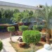 Regency Lodge Sharm 3* — отель в Шарм-эль-Шейхе