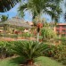 Barcelo Bavaro Golf 5* в Пунта-Кане