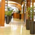 The Country Club Hotel Dubai 4* в Дубае
