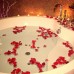 Ahmedia Heritage Guesthouse 3*