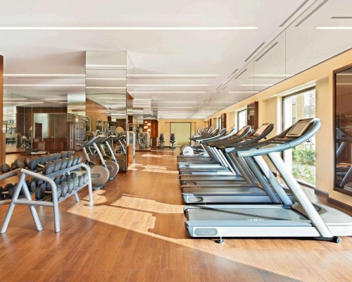 Fairmont The Palm 5* — отель на Пальме Джумейра, Дубай