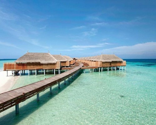 Constance Moofushi 5* на Ари Атолле: что важно знать перед бронированием