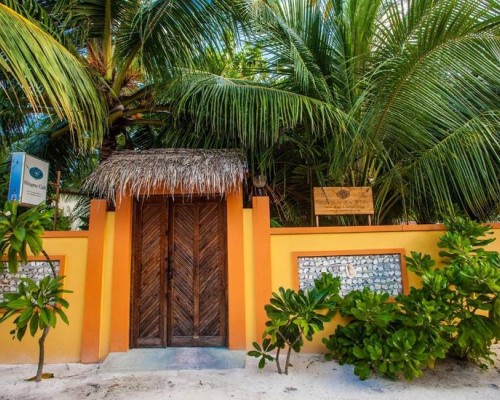 Stingray Beach Inn 3* на Маафуши: что важно знать