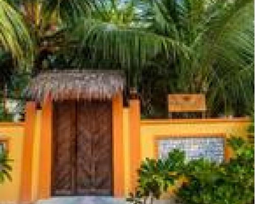Stingray Beach Inn 3* на Маафуши: что важно знать