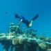 Ocean Vista 3* — Южный Мале, Маафуши