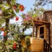 Symbola Oludeniz Beach Hotel в Фетхие (Олюдениз)