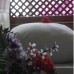 Antalya Hostel Abad Hotel 3* — старый город Калеичи, Анталья