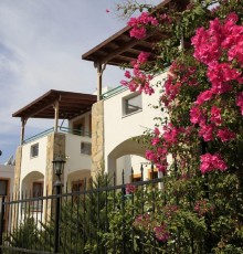 Lemon Tree Apart Hotel Lemon Tree Apart Hotel