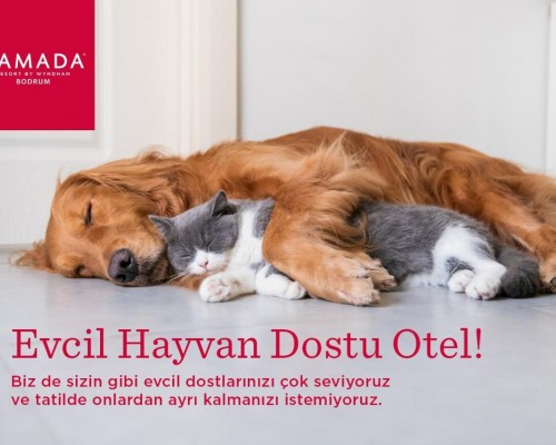Ramada Resort Bodrum 5*: честный обзор от турагента