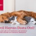 Ramada Resort Bodrum 5*: честный обзор от турагента