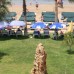 Venessa Beach Hotel в Авсалларе: честный обзор и подбор тура