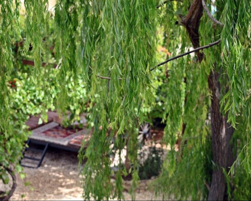 Kas Doga Park Hotel — семейный отель в горах Каша