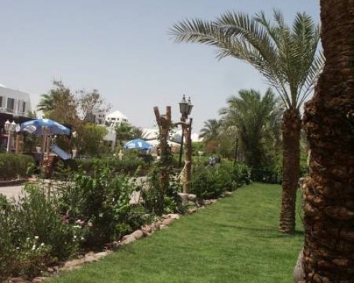 Kanabesh Village 3* в Шарм-эль-Шейхе: что важно знать