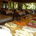 Olympos Oase в Чирали (Кемер): взгляд турагента